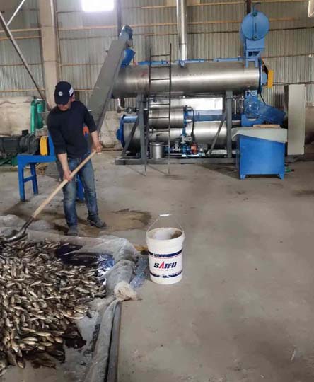 atelier de fabrication de farine de poisson au Maroc