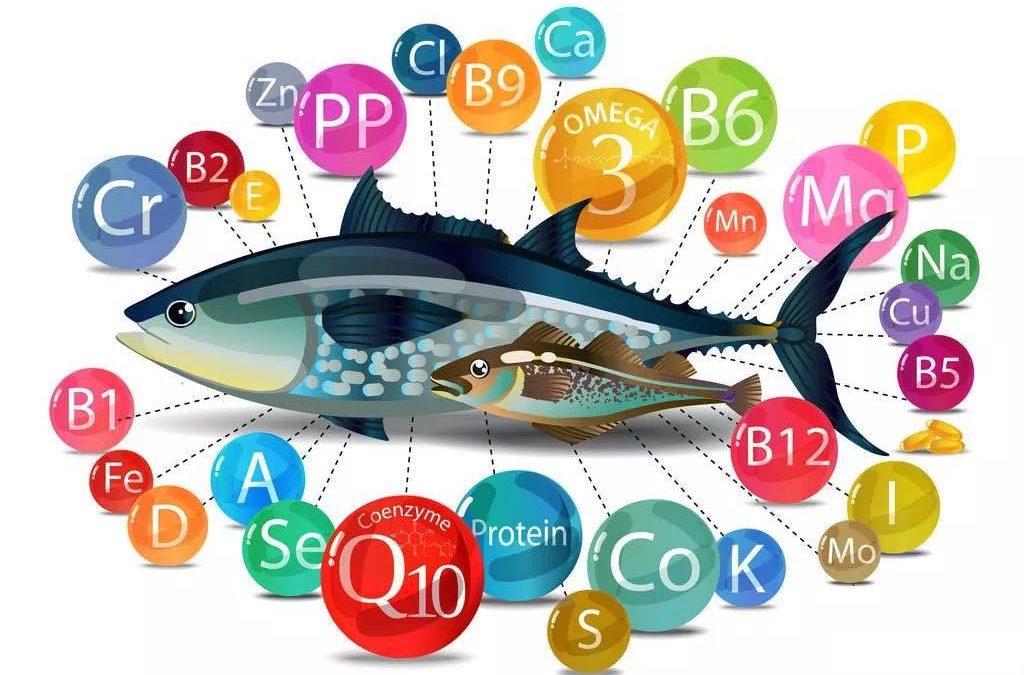 nutrition de la farine de poisson